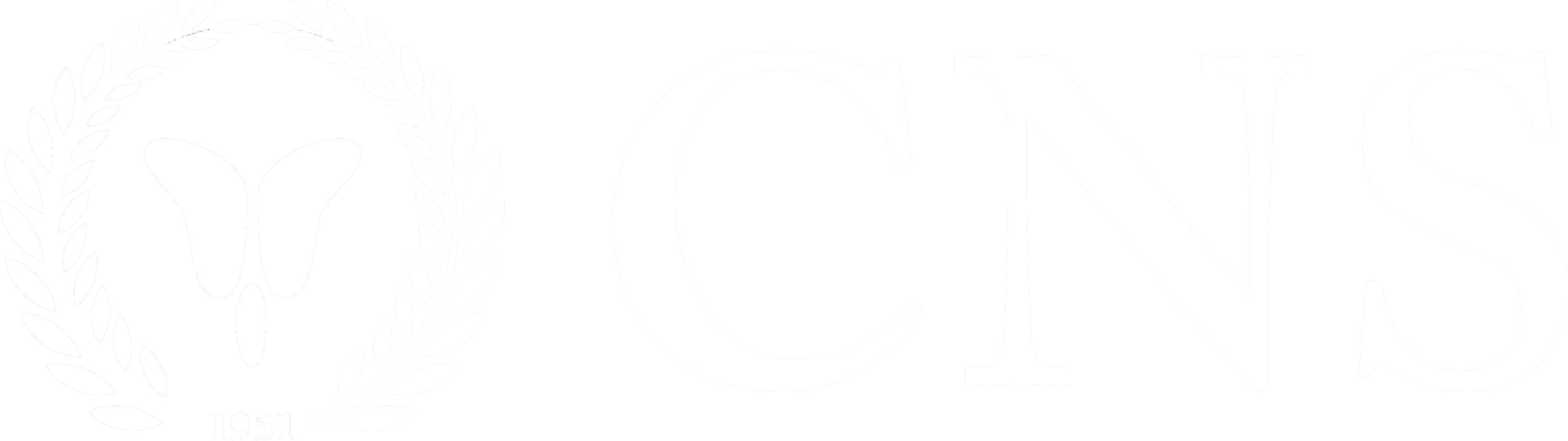 CNS Logo RGB Primary Positive white